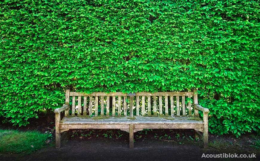 Bench & Hedgerow